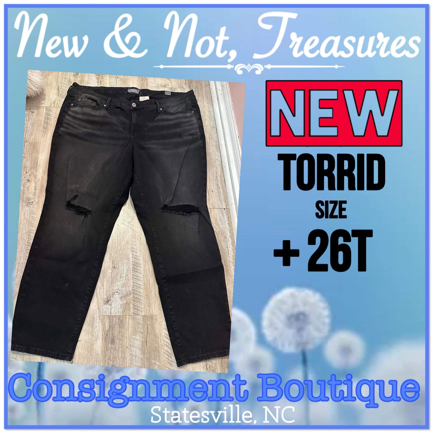 NWT TORRID Denim Ripped Distressed Stretch Skinny Jean Black Plus SZ 26T