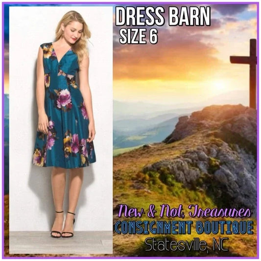 Dress Barn Women's Blue Floral Sleeveless Fit & Flare Sleeveless Dress Size 6