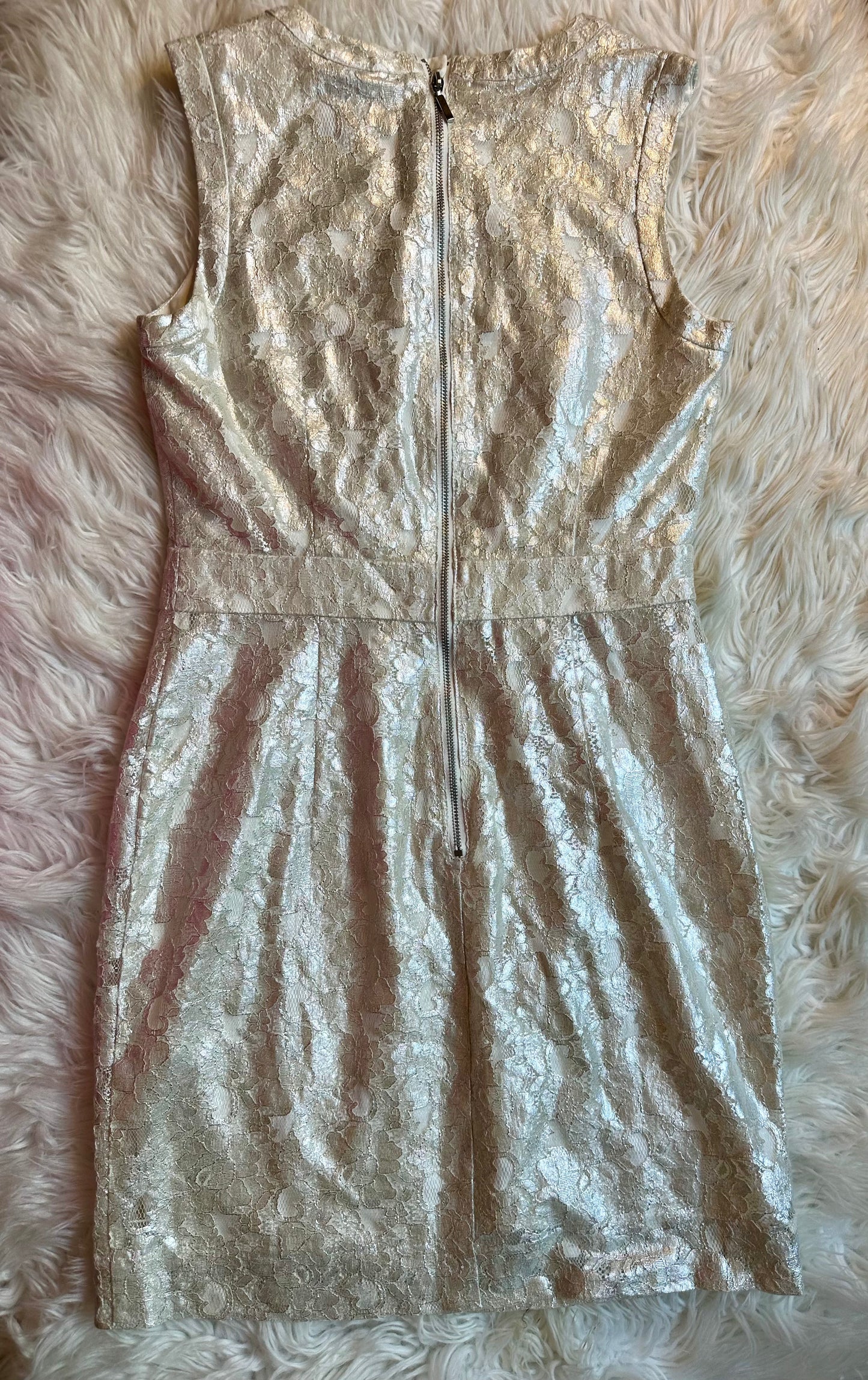 H&M Ivory Metallic Lace Sleeveless Sheath Special Occasion Dress Women’s Size 6