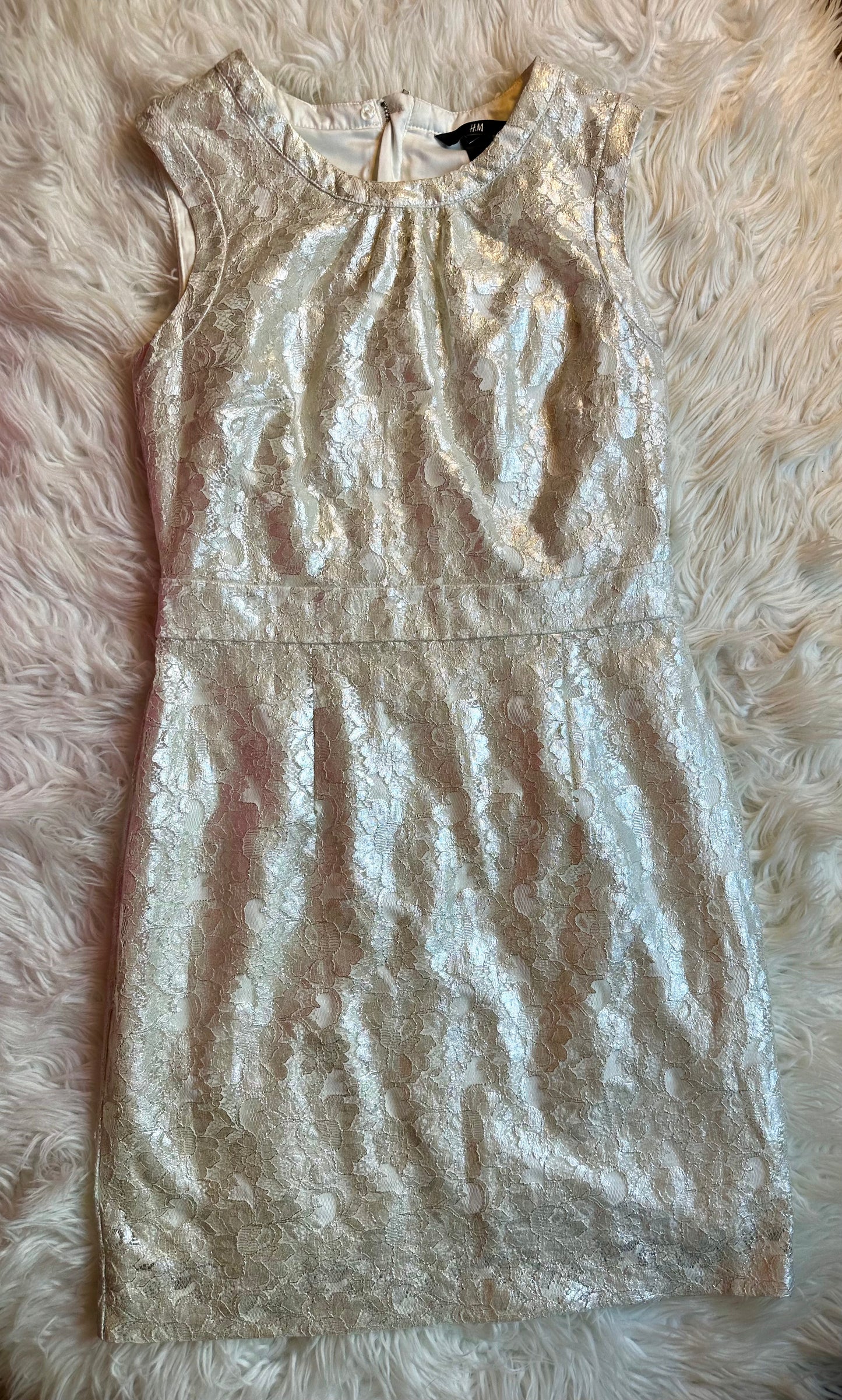 H&M Ivory Metallic Lace Sleeveless Sheath Special Occasion Dress Women’s Size 6