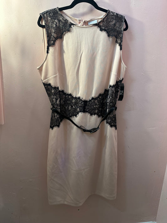 New York and Company Ivory and Black Lace Dress in XL