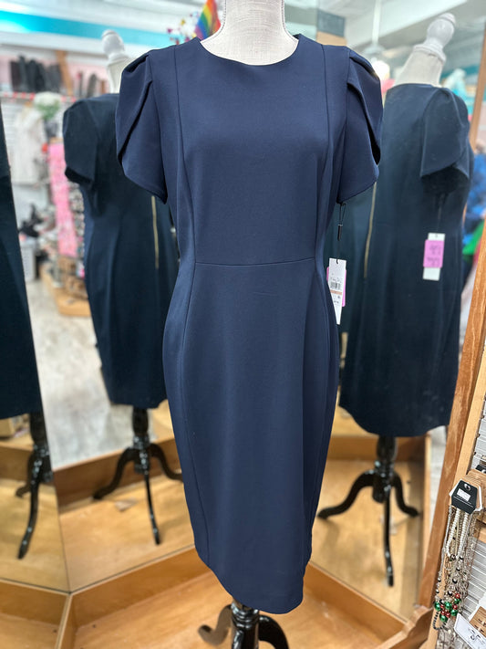Calvin Klein Navy Pleated Sleeve Dress in 12