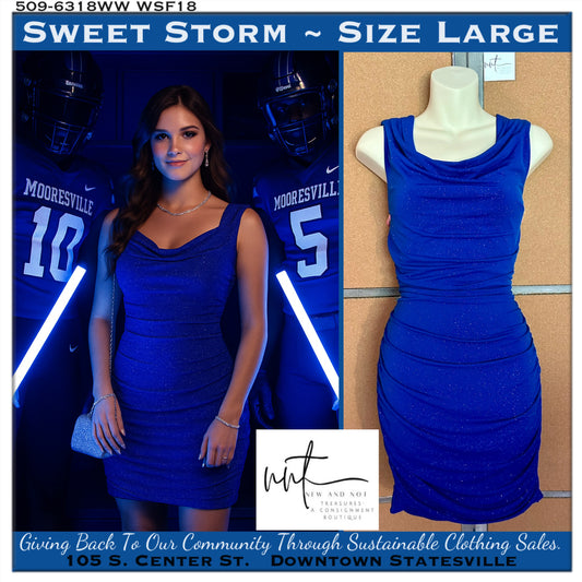 Sweet Storm Royal Blue Sparkle Ruched Mini Dress – Size Large