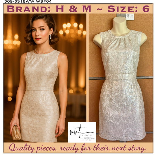 H&M Ivory Metallic Lace Sleeveless Sheath Special Occasion Dress Women’s Size 6