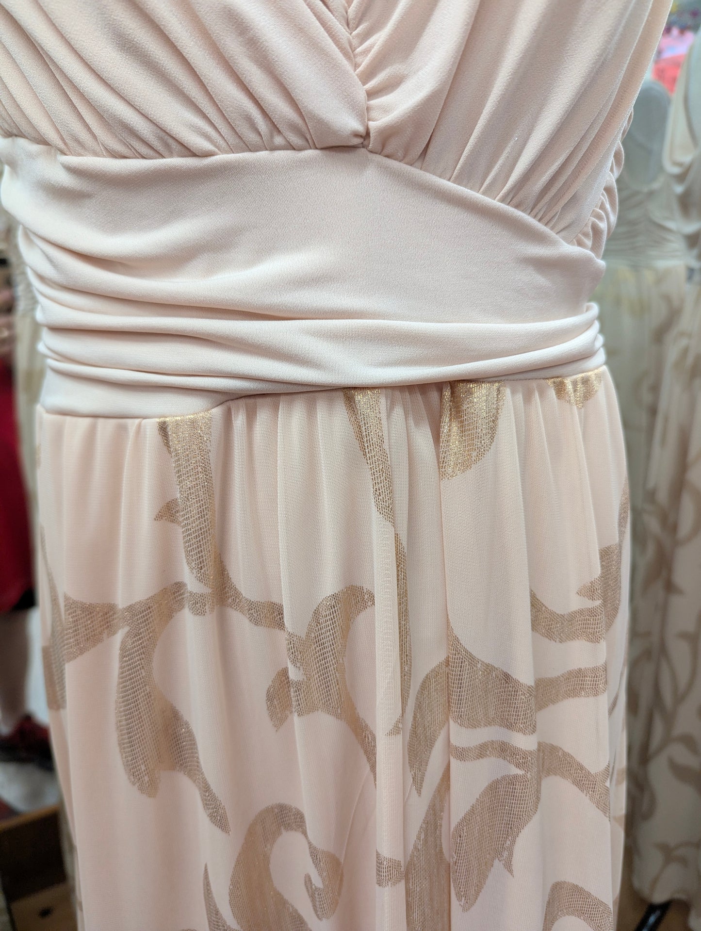 Sangria Beige Tank Gown in 16